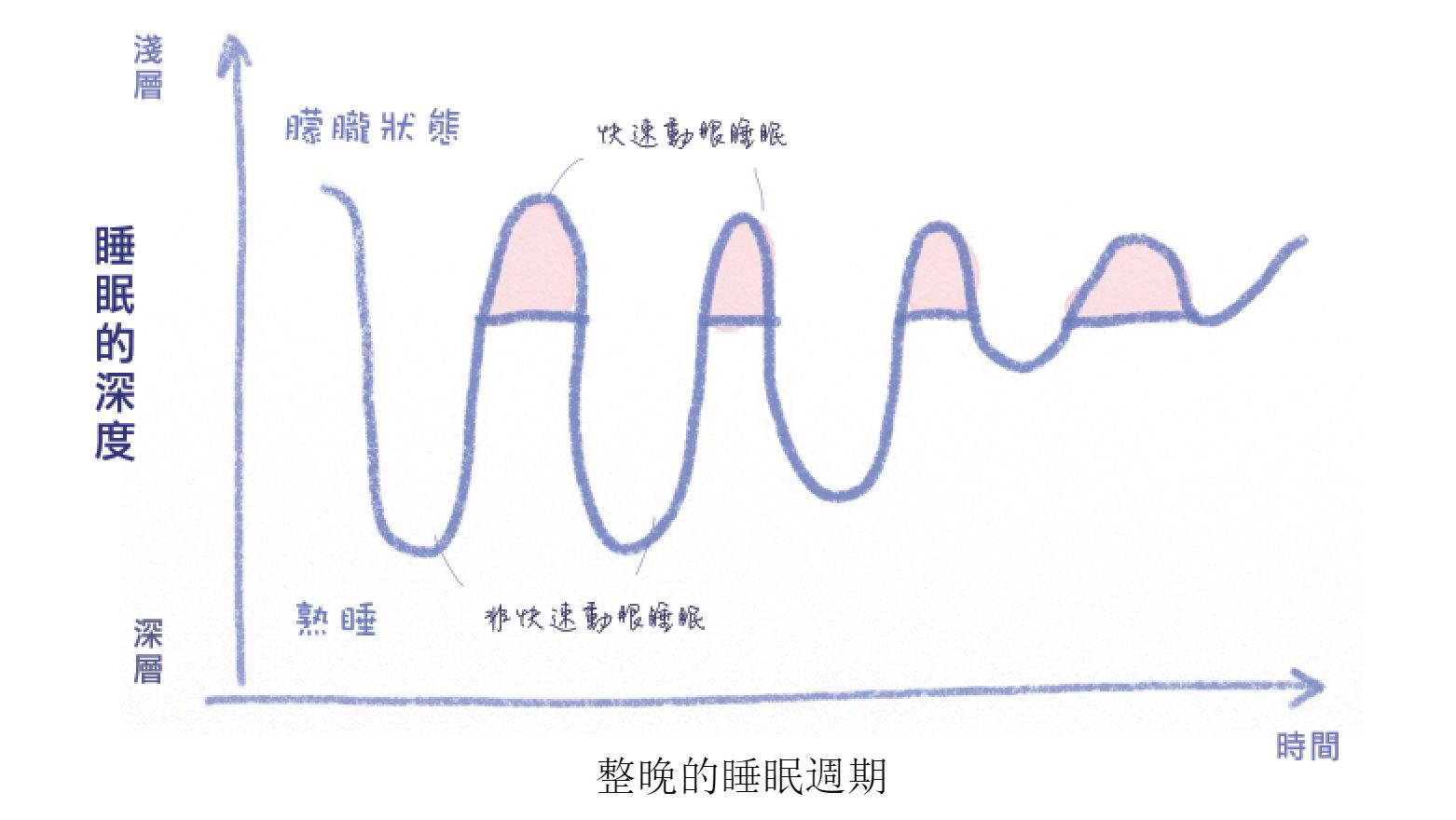 整晚的睡眠週期圖